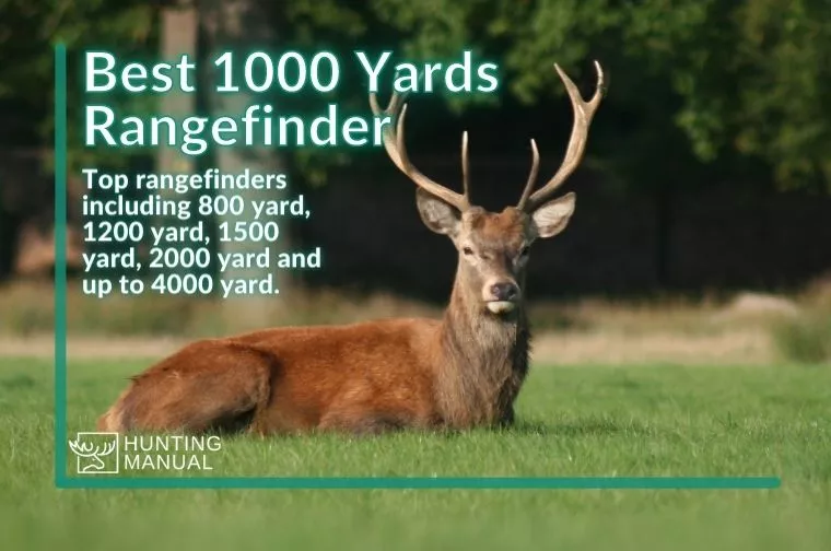 best 1000 yard rangefinder