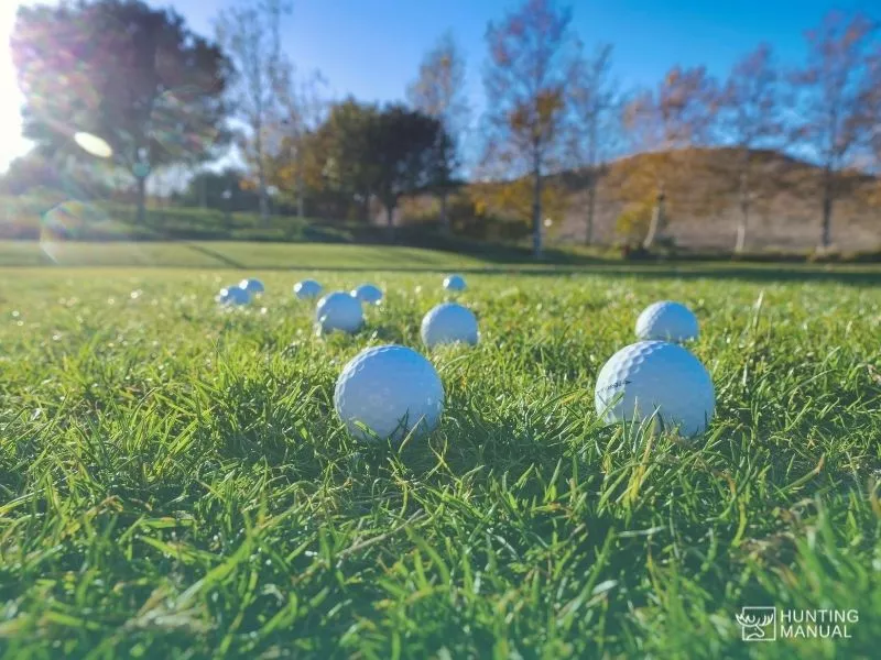 golf balls in field