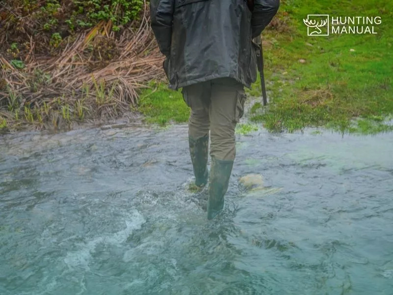 passing through water stream during hunting