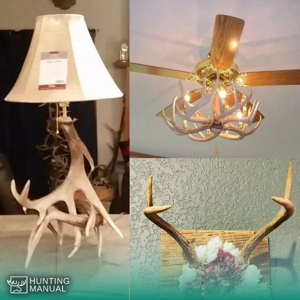 how to find deer antlers - decorative uses of deer antlers in home